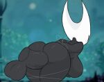  animated anonymous_artist disembodied_penis female from_behind_position genitals hollow_knight humanoid male male/female penis sex team_cherry video_games 