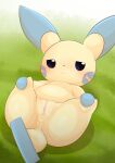  absurd_res female generation_3_pokemon genitals hi_res looking_at_viewer minun nintendo pokemon pokemon_(species) pussy solo spread_legs spreading type video_games yellow_body 