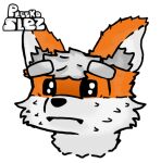  anthro canid canine fox fur hair male mammal orange_body orange_fur pleskoslez red_fox solo 