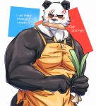  2022 anthro apron barazoku beastars biceps big_muscles black_sclera blush bread bread_in_mouth bread_loaf clothing cross-popping_vein dialogue english_text food fur generation_1_pokemon giant_panda gouhin_(beastars) hi_res holding_food holding_object huge_muscles looking_at_viewer male mammal muscular muscular_anthro muscular_male narrowed_eyes nintendo onion pecs pikachu plant pokemon pokemon_(species) scar simple_background solo standing talking_to_viewer teseirei text tuft ursid vegetable video_games 