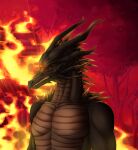  2022 3_eyes absurd_res angry anthro arm_spikes black_body black_dragon_kalameet black_scales burning dark_souls digital_media_(artwork) dragon fire fromsoftware glowing glowing_eyes hair hi_res horn looking_at_viewer magic male multi_eye muscular muscular_male neck_spikes plant red_eyes scales shoulder_spikes siyeneveries solo spikes spikes_(anatomy) spiky_hair standing tree video_games 