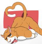  anthro dildo domestic_cat eye_roll eyes_closed felid feline felis fur hi_res male mammal nude open_mouth orange_body orange_fur sex_toy simple_background solo tongue tongue_out waterwang white_body white_fur 