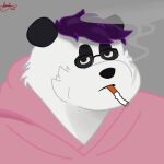  anthro clothed clothing eyewear fur glasses hair hoodie looking_at_viewer male mammal open_mouth overweight overweight_male pandaandy pink_clothing simple_background smoking smoking_cigarette solo topwear white_body white_fur 