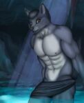  absurd_res anthro athletic athletic_anthro athletic_male brown_eyes canid canine canis cave clothed clothing fur grey_body grey_fur grey_hair hair hi_res male mammal muscular muscular_anthro muscular_male nipples partially_clothed solo tsonic water wolf 