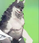  2022 anthro belt bottomwear canid canine canis clothed clothing fur gloves green_background grey_body grey_fur handwear male mammal muscular muscular_anthro muscular_male nipples pants sharp_teeth simple_background solo teeth topless white_body white_fur wolf yellow_eyes yuuko891 