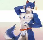  anthro athletic athletic_anthro athletic_male blue_body blue_fur blush bulge canid canine canis claws clothed clothing fur hi_res jockstrap jockstrap_only male mammal nipples simple_background solo topless underwear underwear_only white_body white_fur wolf yuuko891 