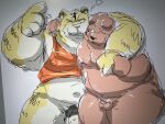  2022 absurd_res anthro belly big_belly brown_body duo embrace felid genitals hi_res hug kemono male male/male mammal moobs navel nipples one_eye_closed overweight overweight_male pantherine penis penis_size_difference small_penis suishou0602 tiger ursid white_body wink yellow_body 