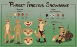 4_fingers 4_toes absurd_res anatomically_correct anatomically_correct_genitalia anatomically_correct_penis animal_genitalia anthro arctic_fox backsack ball_rope balls bdsm biped bondage bottomwear bound brown_body brown_fur brown_pawpads canid canine clothing countershade_torso countershading diamond_(marking) digital_media_(artwork) digitigrade dipstick_tail duo english_text feet fingerpads fingers fist foot_wraps fox fully_sheathed fur genital_rope genitals gradient_background head_fur hi_res loincloth loose_feather male male/male mammal markings model_sheet nipples nude_male one_eye_closed pawpads penis phrozt phrozt_(character) raised_arm red_eyes restraints rope rope_around_balls rope_bondage sheath simple_background smile solo standing submissive submissive_anthro summer_coat tail tail_markings text toes tongue tongue_out tribal true_fox uvula wraps