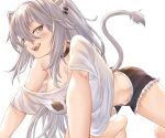  1girl :d absurdres all_fours animal_ears black_choker black_shorts breasts choker cleavage clothes_writing commentary english_commentary fangs grey_eyes grey_hair highres hololive honkivampy large_breasts lion_ears lion_girl lion_tail long_hair looking_at_viewer off-shoulder_shirt off_shoulder open_mouth shirt shishiro_botan short_shorts shorts smile tail virtual_youtuber white_shirt 