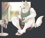  anthro better_version_at_source blue_eyes bulge canid canine canis domestic_dog fur gabriel_(anyero) husky male mammal nordic_sled_dog solo spitz white_body white_fur 