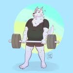  anthro bodily_fluids canid canine canis deadlift domestic_dog exercise fur gabriel_(anyero) hi_res husky male mammal nordic_sled_dog slightly_chubby spitz sweat sweatdrop weightlifting white_body white_fur workout 