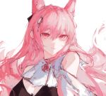  1girl animal_ears arknights ascot bare_shoulders black_bra bra extra_ears hair_between_eyes hair_intakes hair_ornament lch long_hair looking_at_viewer pink_eyes pink_hair pozyomka_(arknights) simple_background solo underwear white_ascot white_background wolf_ears wolf_girl 