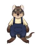  anthro asnnonaka beady_eyes blue_overalls brown_body brown_fur cheek_tuft chubby_anthro chubby_male clothed clothing facial_tuft front_view full-length_portrait fur head_tuft inner_ear_fluff looking_at_viewer lutrine male mammal mustelid overalls portrait simple_background smile solo standing tan_body tan_fur topwear tuft unsigned white_background white_inner_ear_fluff yellow_clothing yellow_topwear 