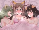  amber_eyes animal_humanoid bed black_hair blush brown_hair canid canid_humanoid canine canine_humanoid clothing dog_humanoid female female/female fox_humanoid furniture green_hair hair hi_res humanoid kittsun long_hair mammal mammal_humanoid nude open_mouth pillow pokoe sanrio shibarin_(show_by_rock) short_hair show_by_rock!! sleeping underwear wake_up 