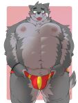  2022 absurd_res anthro belly blush bulge canid canine clothing dumdum eyewear glasses hi_res humanoid_hands kemono male mammal moobs navel nipples one_eye_closed overweight overweight_male simple_background solo underwear wink 