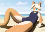  absurd_res anthro beach blue_eyes bulge bulge_under_clothes canid canine clothed clothing cosplay costume fur glistening hair hi_res light male mammal orange_body orange_fur outside rokusuke sea seaside solo summer sunlight swimwear water 