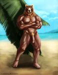  2018 angry anthro balls barefoot biceps big_penis crossed_arms feet flaccid foreskin genitals hi_res humanoid_feet humanoid_genitalia looking_at_viewer male mammal muscular navel nipples nude outside palm_tree pecs penis plant satanic_monkey sea seaside solo standing tree tropical ursid vein veiny_penis water 