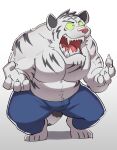  2022 absurd_res anthro belly bottomwear bulge clothing felid hi_res humanoid_hands kemono male mammal nekodon_san pantherine pants simple_background slightly_chubby solo tiger white_body 