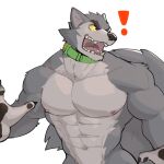  2022 abs angry anthro barazoku biceps big_muscles canid canine canis claws collar exclamation_point eyebrows fur hi_res huge_muscles jrjresq male mammal muscular muscular_anthro muscular_male navel nipples nude obliques open_mouth pawpads pecs simple_background solo standing surprise teeth tongue tuft white_background wolf 