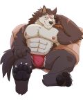  abs absurd_res anthro armpit_hair asian_clothing balls_outline biceps big_muscles biped blue_eyes bodily_fluids body_hair brown_body brown_eyes brown_fur bulge canid canine canis claws clothing countershade_torso countershading dasoowolf detailed_bulge east_asian_clothing facial_scar feet foot_focus fundoshi fur genital_outline grey_body grey_countershading grey_fur hi_res japanese_clothing looking_at_viewer male mammal muscular muscular_anthro muscular_male nipple_piercing nipples pawpads pecs piercing red_clothing red_fundoshi red_underwear ring_piercing rouen_(shining) scar sega shining_(sega) shining_force shining_wind simple_background sitting smile smirk solo toe_claws underwear video_games wolf 