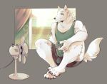  anthro blue_eyes bottomwear bulge canid canine canis clothed clothing domestic_dog electric_fan fur gabriel_(anyero) hi_res husky male mammal nordic_sled_dog shirt shorts sitting solo spitz tank_top topwear white_body white_fur 
