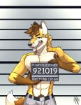  abs absurd_res anthro canid canine canis dreamworks fox go_to_horny_jail hi_res hybrid male male/male mammal meme muscular muscular_anthro muscular_male pecs photo prison richart_(richartwf) sign solo the_bad_guys unknown_artist wolf 