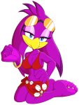  5_toes accipitrid accipitriform avian barefoot beach bird clothing digit_ring feet female foot_ninja15 hi_res humanoid jewelry ring seaside sega soles solo sonic_riders sonic_the_hedgehog sonic_the_hedgehog_(series) toe_ring toes wave_the_swallow 