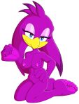  5_toes accipitrid accipitriform avian barefoot beach bird breasts feet female foot_ninja15 genitals hi_res humanoid nipples nude pussy seaside sega soles solo sonic_riders sonic_the_hedgehog sonic_the_hedgehog_(series) toes wave_the_swallow 