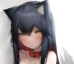  1girl absurdres animal_ears arknights black_hair blush buckle closed_mouth collar collarbone highres looking_at_viewer red_hair ringed_eyes simple_background smile solo tab_head tail texas_(arknights) two_side_up upper_body white_background wolf_ears wolf_girl wolf_tail yellow_eyes 