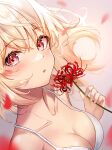  1girl :o absurdres asymmetrical_hair atychi bikini bikini_top_only blonde_hair blurry blush breasts cleavage collarbone depth_of_field falling_petals floating_hair flower highres holding holding_flower looking_at_viewer lycoris_recoil medium_breasts nishikigi_chisato parted_lips petals red_eyes short_hair solo spider_lily swimsuit upper_body 