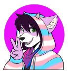  anthro bisexual_pride_colors clothing female fur gesture green_eyes hamgie hi_res horn lgbt_pride mammal multicolored_clothing multicolored_hoodie multicolored_neckwear multicolored_scarf multicolored_topwear neckwear pattern_clothing pride_color_clothing pride_color_neckwear pride_colors procyonid raccoon scarf shirt simple_background solo striped_clothing stripes topwear trans_(lore) trans_woman_(lore) transgender_pride_colors unknown_artist v_sign white_body white_fur 