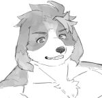  anthro blush bust_portrait canid canine canis domestic_dog floppy_ears grin hisaki_(live-a-hero) kannepaz lifewonders live-a-hero male mammal portrait shirtless smile solo video_games 