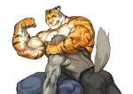  2022 absurd_res anthro anthro_on_anthro barazoku belt bent_over biceps big_muscles blush bottomwear canid canine canis clothed clothing domestic_dog duo eyebrows felid flexing fur furgonomics hi_res huge_muscles looking_at_muscles male male/male mammal muscle_worship muscular muscular_anthro muscular_male narrowed_eyes one_eye_closed pantherine pants pecs scar simple_background sitting size_difference smile teeth tiger topless topless_anthro topless_male traver009 triceps tuft vein veiny_muscles white_background 