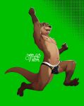 anthro briefs brown_body brown_fur bulge clothing detailed_bulge fur hi_res male mammal mike_(rudderbutts) mustelid navel open_mouth otter pink_tongue river_otter senor_nutria solo tongue underwear whiskers