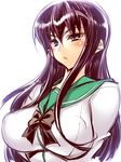  breasts busujima_saeko cleavage covered_nipples highschool_of_the_dead hiyohiyo huge_breasts purple_hair school_uniform serafuku solo 