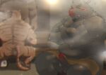  2022 anthro balls blush detailed_background erection felid genitals hi_res inside kemono kisukemk777 male male/male mammal musclegut overweight overweight_male pantherine penis sauna sitting steam suid suina sus_(pig) tiger wild_boar 