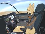  absurd_res aircraft airplane anthro big_ears black_nose canid canine clothing cockpit female fennec fluffy fluffy_tail fox gloves handwear happy hi_res jet jumpsuit mammal matthews(razumi) pilot smile solo straps_across_chest tigerinspace whiskers 