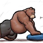  absurd_res alanottaviano anthro barazoku belly brown_bear brown_body brown_fur exercise fur grizzly_bear heros_mjs hi_res male male/male mammal musclegut muscular muscular_male overweight slightly_chubby solo ursid ursine 