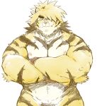  anthro crossed_arms felid green_eyes hi_res knkdk3 lifewonders macan_(tas) male mammal muscular muscular_anthro navel nipples nude pantherine pecs pubes solo tiger tokyo_afterschool_summoners video_games 