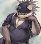  1boy animal_ears arm_support bara black_headwear brown_fur commentary dog_boy dog_ears grey_background high_ponytail highres japanese_clothes kimono long_hair male_focus muscular muscular_male pectoral_cleavage pectorals plump scar scar_on_face scar_on_nose shino_(housamo) sleeping sleeping_upright solo tokyo_afterschool_summoners two-tone_fur upper_body xinchpo yellow_fur 