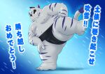  2022 anthro asian_clothing belly big_belly blue_body clothing east_asian_clothing felid hi_res japanese_clothing japanese_text kemono kotofubuki male mammal mawashi moobs nipples overweight overweight_male pantherine solo sumo sumo_wrestler text tiger virtual_youtuber watarifumitoki white_body 