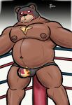  absurd_res alanottaviano anthro barazoku brown_bear fight fighting_ring grizzly_bear hi_res male male/male mammal mask musclegut muscular muscular_male overweight slightly_chubby solo ursid ursine wrestling 