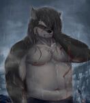  anthro belly canid canine canis domestic_dog fur grey_body grey_fur guadr hair hair_over_eye hi_res lifewonders long_hair male mammal musclegut navel nipples one_eye_obstructed pecs raining scar shino_(housamo) shirtless solo tokyo_afterschool_summoners video_games wet 