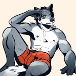  1:1 5_fingers absurd_res anthro balls_in_underwear black_nose bottomwear boxer_briefs boxers_(clothing) bulge canid canine canis clothed clothing detailed_bulge erection erection_under_clothing fingers fur genital_outline genitals grey_body grey_fur hair hi_res looking_at_viewer male mammal more_picante muscular narrowed_eyes nipples orange_eyes partially_clothed penis penis_outline red_clothing seductive solo spread_legs spreading tired_eyes topless underwear underwear_only white_body white_fur wolf 