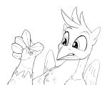  5_fingers angry avian beak black_and_white carrying chest_tuft cross-popping_vein duo earth_pony equid equine eyebrows feathers feral fingers friendship_is_magic gallus_(mlp) greyscale gryphon hasbro hi_res horse macro male mammal micro monochrome my_little_pony mythological_avian mythology pony raised_eyebrows simple_background size_difference tsitra360 tuft white_background wings 
