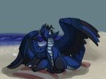 beach beach_towel blue_body blue_skin dragon dumderg feathers feral fluffy_wings pawpads sand sea seaside towel water wings 