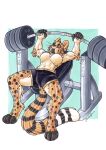  absurd_res anthro big_breasts big_ears big_tail black_fingers black_toes breasts cheetah dark_sclera djikki exercise exercise_equipment exposed_chest felid feline female hi_res lifting lying mammal mother on_back parent solo spread_legs spreading whiskers workout yellow_eyes zwiebelprinz 