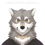  1:1 anthro asnnonaka black_clothing black_nose black_topwear brown_eyes bust_portrait canid cheek_tuft clothed clothing facial_tuft fur glistening glistening_eyes grey_body grey_fur head_tuft looking_at_viewer male mammal mouth_closed multicolored_body multicolored_fur neck_tuft portrait pupils simple_background slit_pupils solo standing tan_body tan_fur topwear tuft unsigned white_background white_body white_fur 