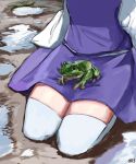  1girl absurdres danlamdae frog highres kneeling long_sleeves lower_body moriya_suwako outdoors puddle purple_skirt purple_vest skirt skirt_set sleeves_past_wrists solo thighhighs touhou vest water white_thighhighs wide_sleeves zettai_ryouiki 