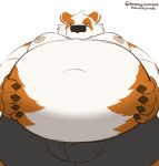  absurd_res anthro belly blue_eyes bulge claws clothing fur giant_panda harushipanda hi_res low-angle_view male mammal moobs multicolored_body multicolored_fur nipples orange_body orange_fur overweight overweight_male solo underwear ursid white_body white_fur 